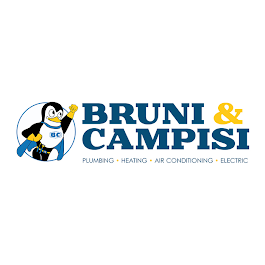Slide of Bruni & Campisi