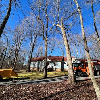 Erwin’s Tree Service - Tree Services Near Me - Marshville, North Carolina Erwin’s Tree Service - Tree Services Near Me - Marshville, North Carolina