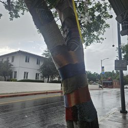 Yarns at the Adobe - A tree in front with a yarn sweater wrapped around the trunk in various colors.