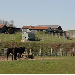 Woodlea Stables