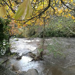 Promenade Xavier Grall - Le cours d'eau l'Aven