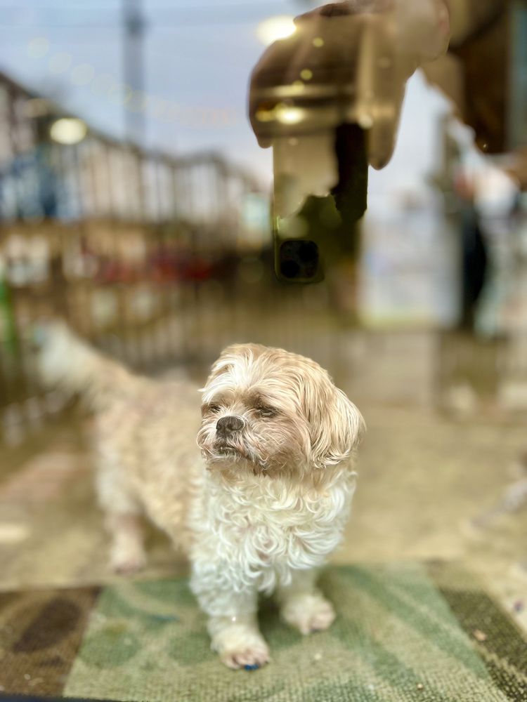 MUSIC CITY SEWING 506 Davidson St, Nashville, Tennessee Sewing