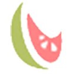 GuavaWorks Website Designs