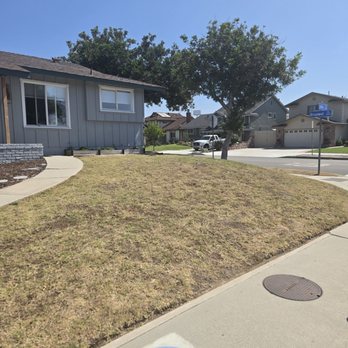 HQ Remodeling & Design - Before photo of front yard - General Contractors Near Me - Huntington Beach, California HQ Remodeling & Design - Before photo of front yard - General Contractors Near Me - Huntington Beach, California