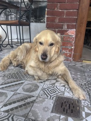 Cheers Hostel by null