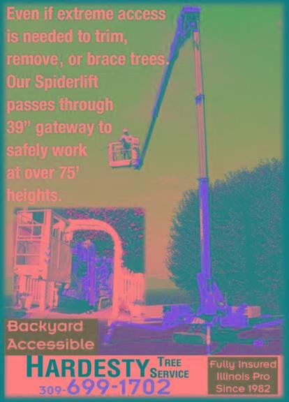 Hardesty Tree Service - tree service in Morton, IL