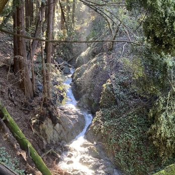 Joaquin Miller Park - More creeks - Parks Near Me - Oakland, California