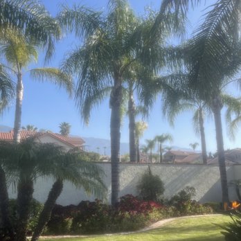 Vicente Tree Services and Landscape - Back yard - Landscaping Near Me