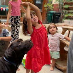 The Urban Preschool & Afterschool Art Program - Even our therapy dog participates in our yoga session!