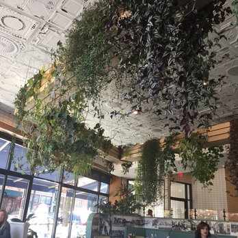 AMBAR Restaurant, Clarendon - Modern European Near Me - Arlington, Virginia