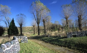 Bagworth Heath Woods