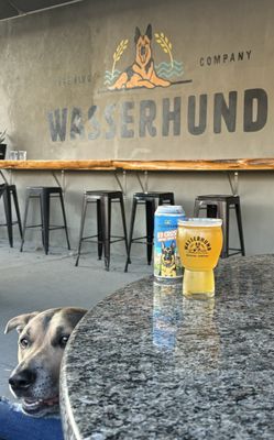 Wasserhund Brewing Company by null
