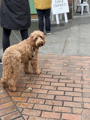 Papá Changó Cafe by null