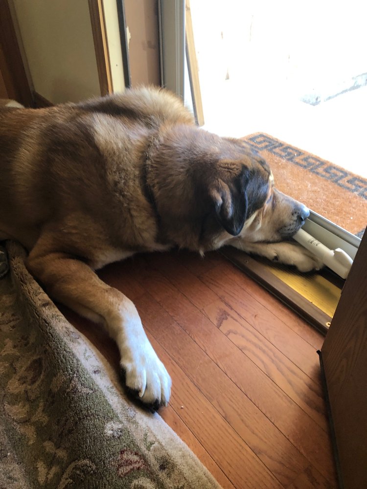 PECAN GROVE VETERINARY SERVICES Updated September 2024 4010 West State Highway 29, Llano