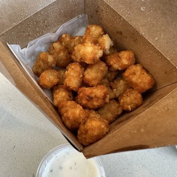 Fat Dogs & Spuds - Tots - Hot Dogs Near Me - Fair Oaks, California