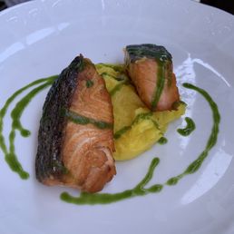Salmon