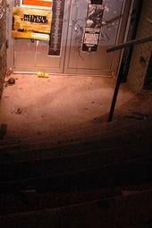 The Drunken Unicorn by null