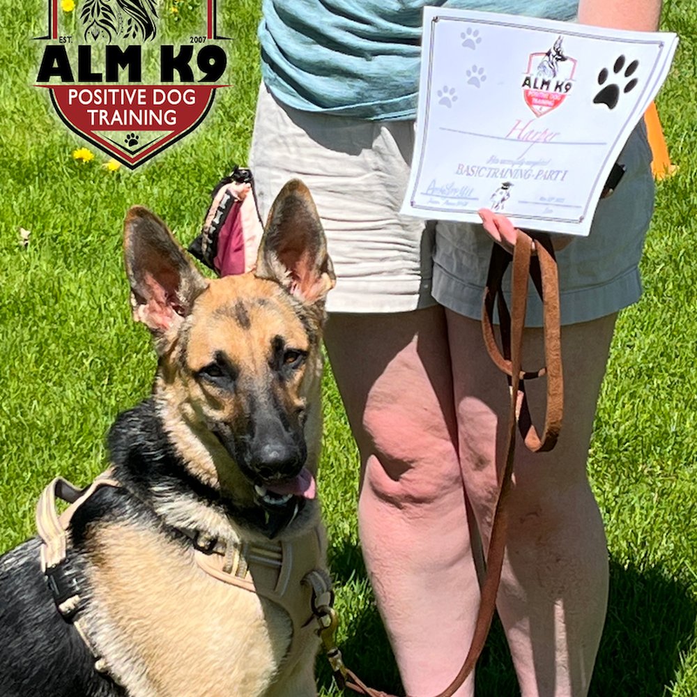 Best alm k9 New Arrivals