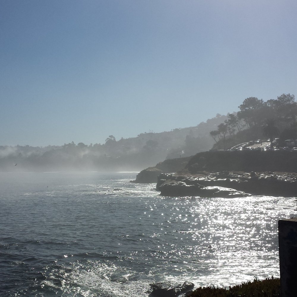 Ellen Browning Scripps Park - La Jolla Cove - Parks Near Me - La Jolla, California Ellen Browning Scripps Park - La Jolla Cove - Parks Near Me - La Jolla, California