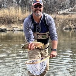 The Drift Fly Shop - Rainbow Trout