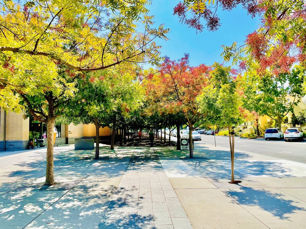 CUPERTINO LIBRARY - 150 Photos & 214 Reviews - 10800 Torre Ave ...