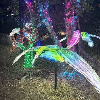 Phoenix Zoo - Zoos Near Me - Phoenix, Arizona