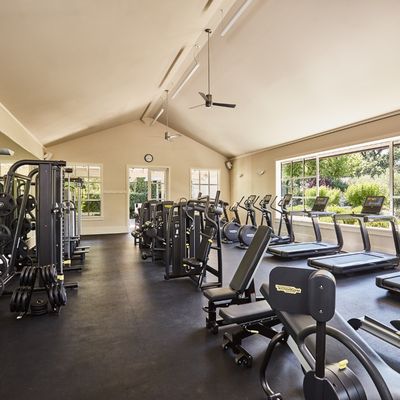 The Spa at Solage by null