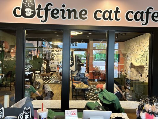 Catfeine Cat Cafe by null