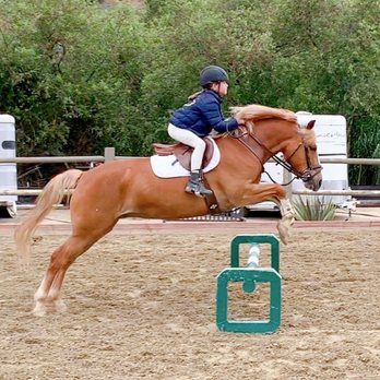 HS EQUESTRIAN - First big jump! - Horseback Riding Near Me