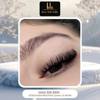 Brow Lash Studio - Lush Lashes Are Here! Elevate your look with lashes that add instant volume. Book your appointment today! - Eyelash Service Near Me - Carson, California Brow Lash Studio - Lush Lashes Are Here! Elevate your look with lashes that add instant volume. Book your appointment today! - Eyelash Service Near Me - Carson, California
