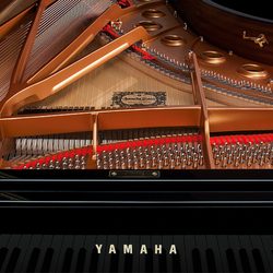 Luca Music & Piano Gallery