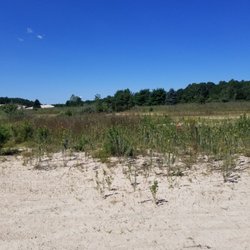 Butterfly habitat. Saw quite a few on our walk.