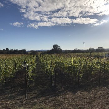 DeLoach Vineyards - Because I love vineyards :) - Wineries Near Me - Santa Rosa, California DeLoach Vineyards - Because I love vineyards :) - Wineries Near Me - Santa Rosa, California