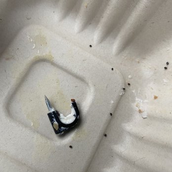 Athens Bagel Company - a broken cigarette in a styrofoam container - Breakfast & Brunch Near Me - Athens, Georgia