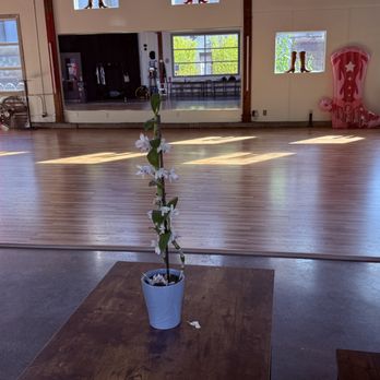 Seattle Line Dance - Separate dance floor with lots of natural light from windows and tall ceilings - Country Dance Halls Near Me - Seattle, Washington Seattle Line Dance - Separate dance floor with lots of natural light from windows and tall ceilings - Country Dance Halls Near Me - Seattle, Washington