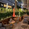 Bijou Social Club gift card
