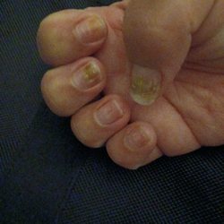The Nail Spa