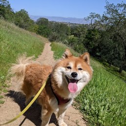 Well kept trail + dog friendly Well kept trail + dog friendly