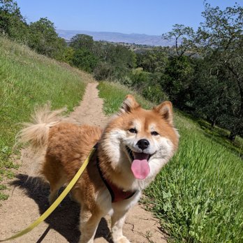 Almaden Quicksilver County Park - Well kept trail + dog friendly - Parks Near Me - San Jose, California Almaden Quicksilver County Park - Well kept trail + dog friendly - Parks Near Me - San Jose, California
