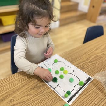 Princeton Montessori Academy - Preschools Near Me - Altadena, California Princeton Montessori Academy - Preschools Near Me - Altadena, California