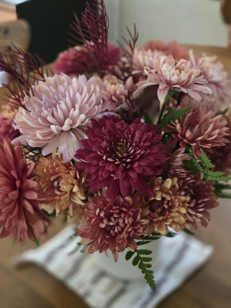 Nichols Dollar Saver Logo