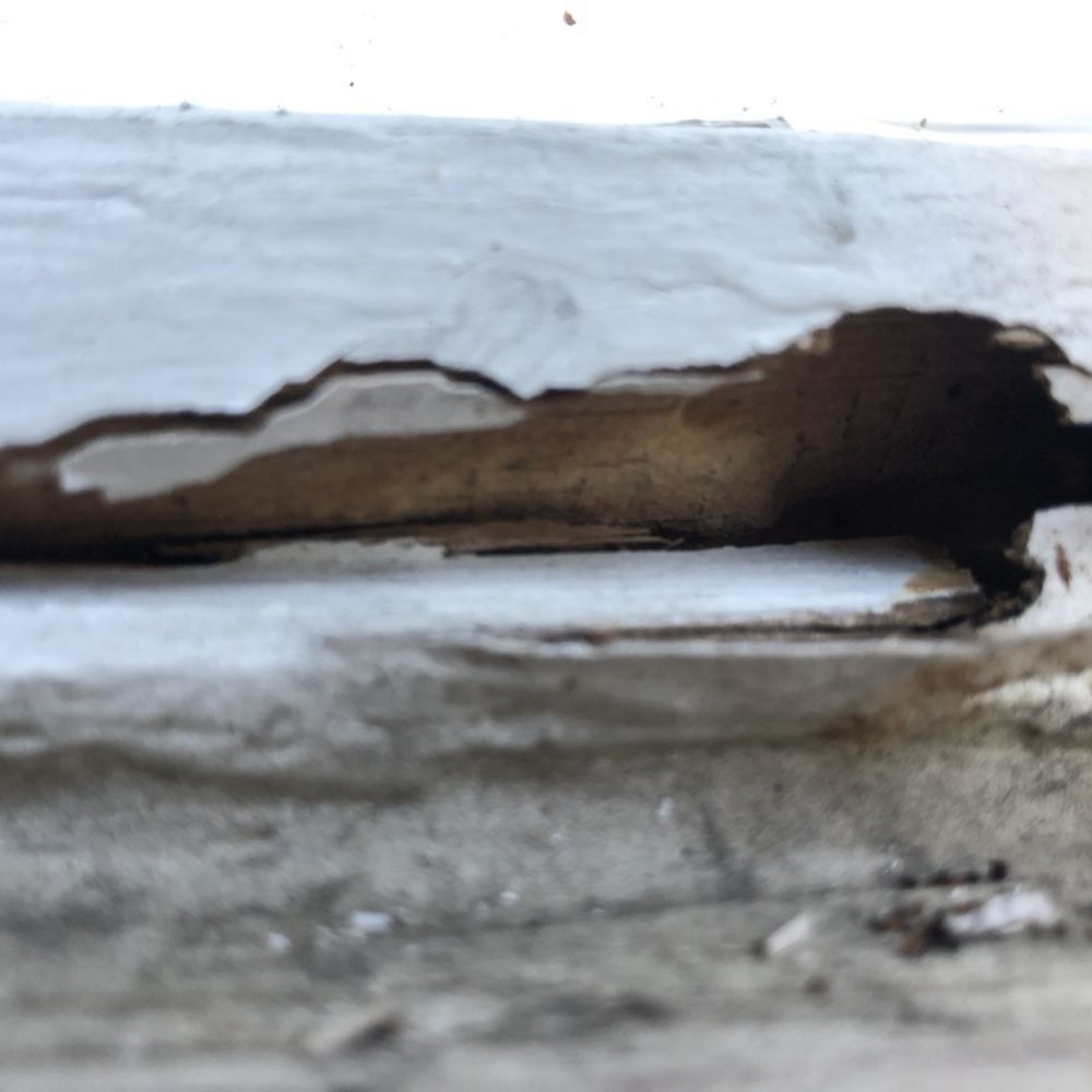 Windows And Mohr - More dry rot that was ignored. - Windows Installation Near Me Windows And Mohr - More dry rot that was ignored. - Windows Installation Near Me
