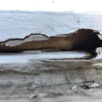 Windows And Mohr - More dry rot that was ignored. - Windows Installation Near Me Windows And Mohr - More dry rot that was ignored. - Windows Installation Near Me