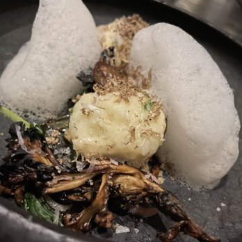 Stubborn Seed - RICOTTA GNUDI & GRATITUDE GARDEN MUSHROOM - New American Near Me - Miami Beach, Florida Stubborn Seed - RICOTTA GNUDI & GRATITUDE GARDEN MUSHROOM - New American Near Me - Miami Beach, Florida
