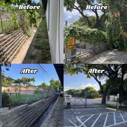Lawn On - Big commercial clean up, the location manager was relieved!