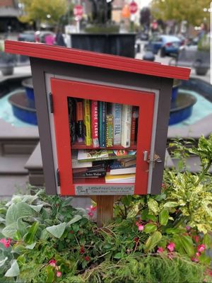 1538 S 11th St by null