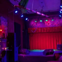 The Crack Fox - Interior stage