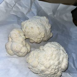 Mindful Mushrooms - My goodies