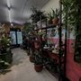 Photo of Casa Fiesta