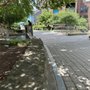 Photo of Flats at Bethesda Avenue